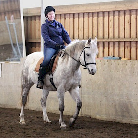 Hevonen: Ronaldho
