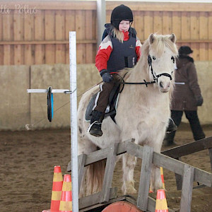 Working Equitation