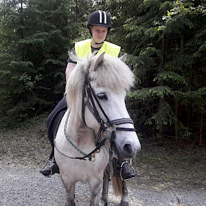 Lilja