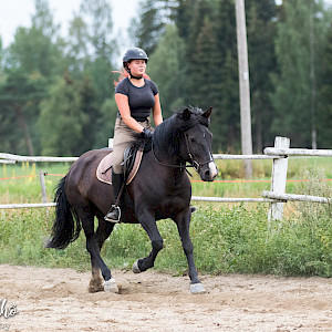 Hevonen: Veräjän Rinsessa