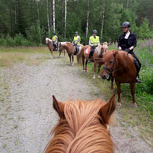 Viikonloppukurssi: Maastokurssi II. 16-17.7.2022 Mahtuu mukaan!