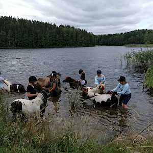 Yleiskurssi 26.6.-30.6. 2023 ma-pe mahtuu mukaan!