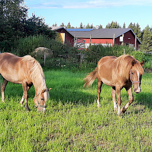 Hinnasto kevätkausi 2024