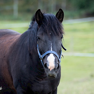 maastokurssi 1.-5.6. 2026