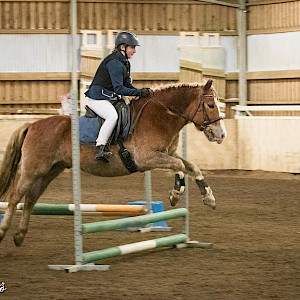 Esteratsastuskurssi 20.-24.7.2026