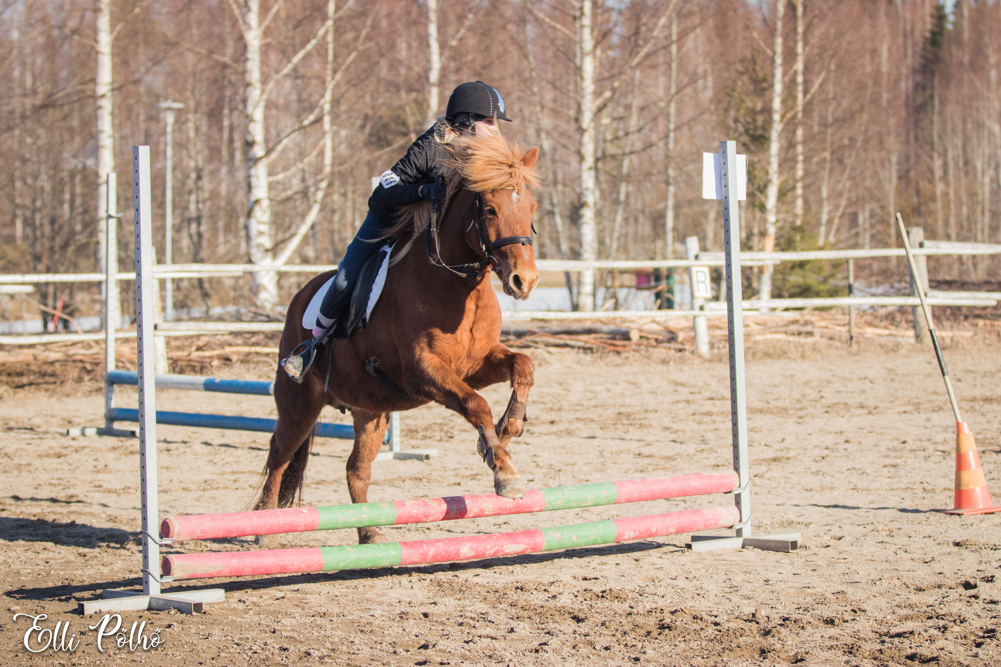 Kilpailukutsu, Esteratsastuskilpailut 16.5.2026