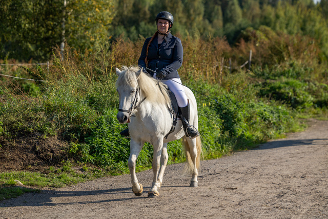 Koulu/askellaji/working equitation/agilitykilpailut 9.5.2026